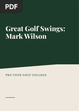 Great Golf Swings: Mark Wilson