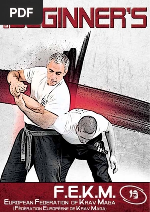Guide Beginners F.E.K.M.