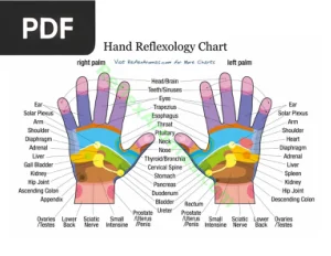 Hand Reflexology Chart