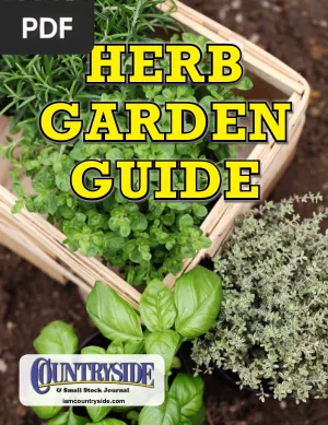 Herb Garden Guide