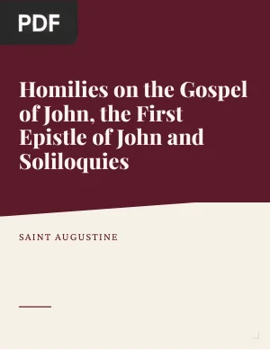 Homilies on the Gospel of John, the First Epistle of John and Soliloquies