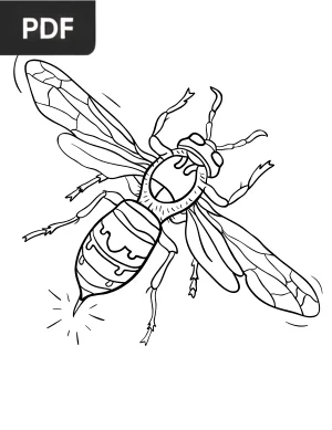 Hornet Coloring Page