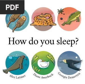 How Do You Sleep?