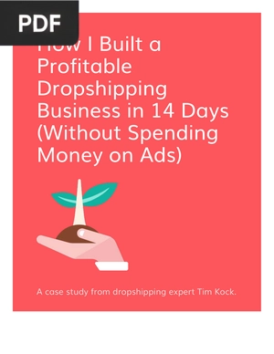 How I Built a Profitable Dropshipping Business in 14 Days