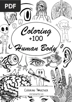 Human Body Coloring Book