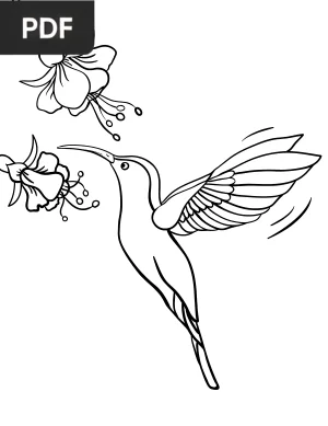 Hummingbird Coloring Page