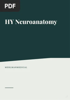 HY Neuroanatomy