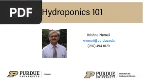 Hydroponics 101