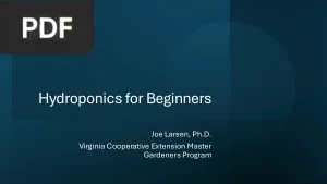 Hydroponics for Beginners