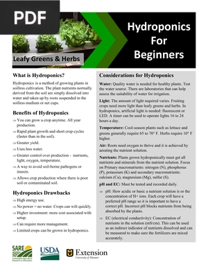 Hydroponics For Beginners
