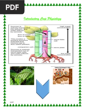 Introductory Crop Physiology