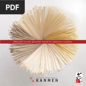 Japanese Dried Noodles: Kanmen