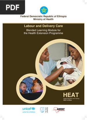 Labour and Delivery Care