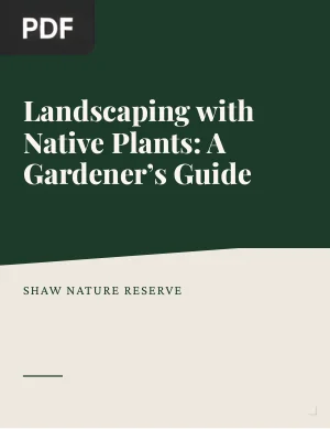 Landscaping with Native Plants: A Gardener’s Guide