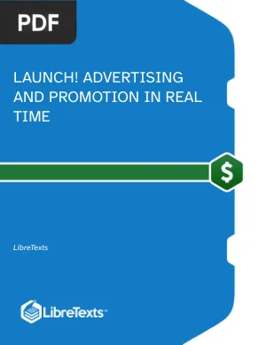 Launch! Advertising and Promotion in Real Time