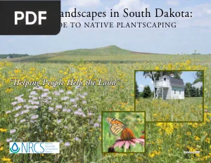Living Landscapes in South Dakota: A Guide to Native Plantscaping