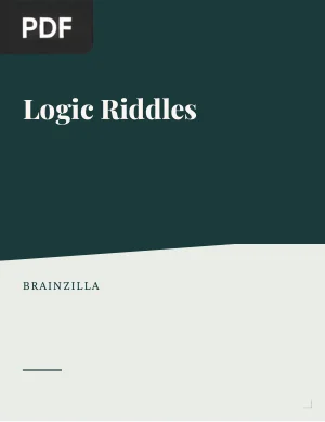 Logic Riddles