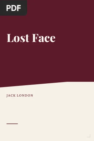 Lost Face