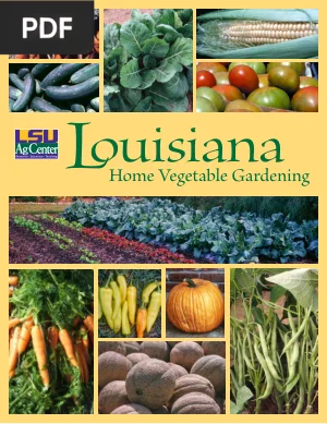 Louisiana Home Vegetable Gardening