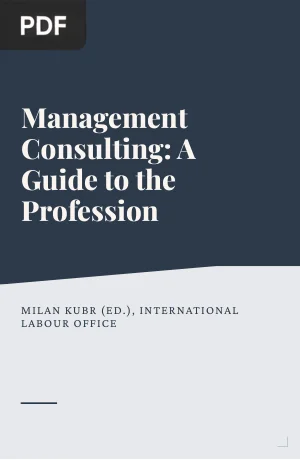 Management Consulting: A Guide to the Profession