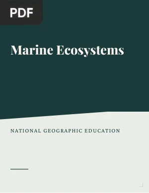 Marine Ecosystems