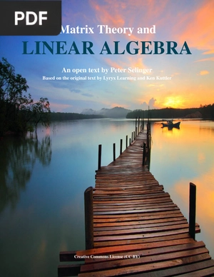 Matrix Theory and Linear Algebra