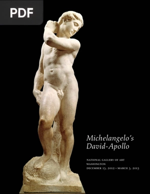 Michelangelo’s David-Apollo