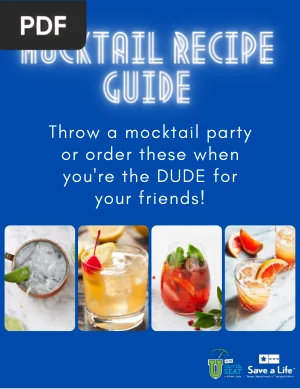 Mocktail Recipe Guide