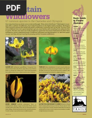 Mountain Wildflowers: 57 Common Species