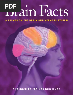 Neuroscience: The Science of the Brain