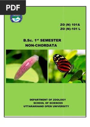 Non-Chordata