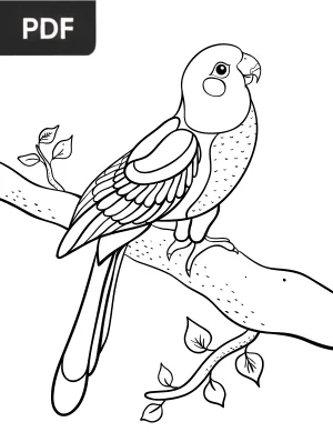 Parrot Coloring Page