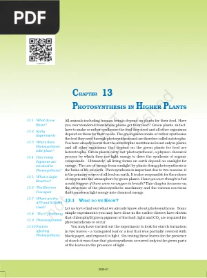 Photosynthesis in Higher Plants