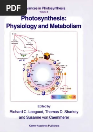 Photosynthesis: Physiology and Metabolism