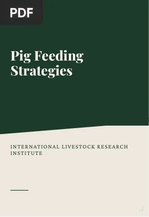 Pig Feeding Strategies