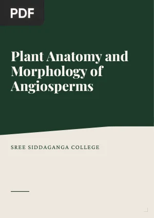 Plant Anatomy and Morphology of Angiosperms