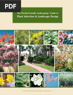 Plant Selection & Landscape Design