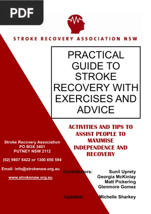 Practical Guide to Stroke Recovery