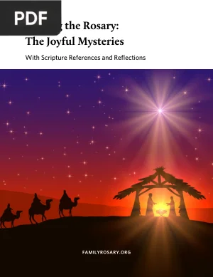 Praying the Rosary: The Joyful Mysteries
