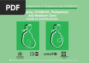 Pregnancy, Childbirth, Postpartum and Newborn Care: A Guide for Essential Practice