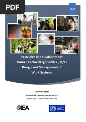 Principles and Guidelines for Human Factors/Ergonomics Design and Management of Work Systems
