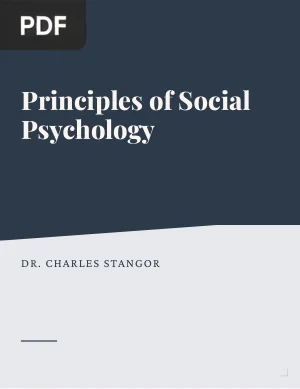 Principles of Social Psychology