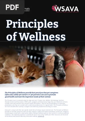 Principles of Wellness