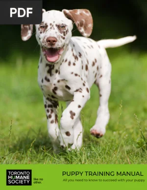 Puppy Training Manual