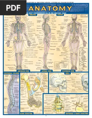 QuickStudy Anatomy
