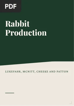 Rabbit Production
