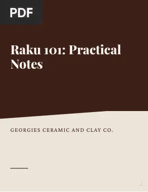Raku 101: Practical Notes