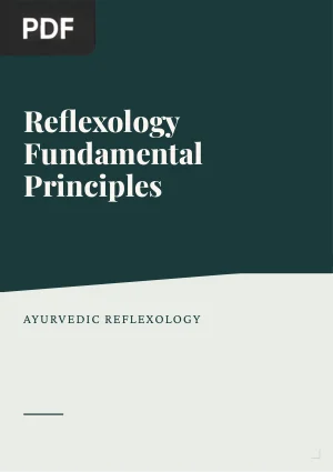 Reflexology Fundamental Principles