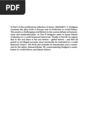 Rethinking World History: Essays on Europe, Islam, and World History