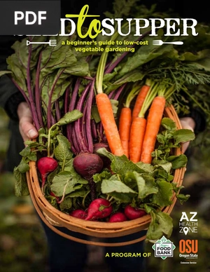 Seed to Supper A beginner’s guide to low-cost vegetable gardening